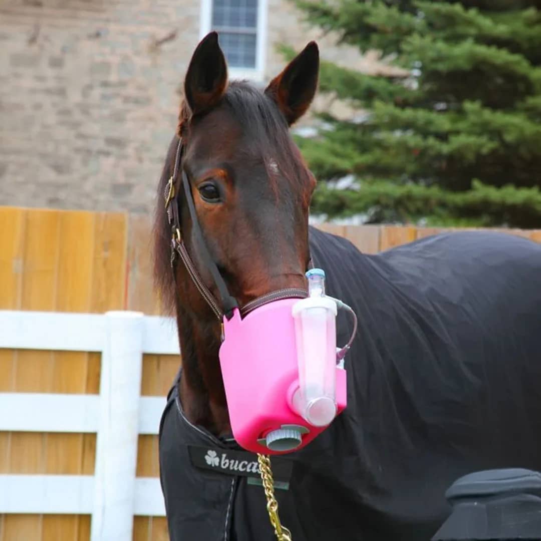 Nebulizador Flexineb E3 sistema completo para caballos