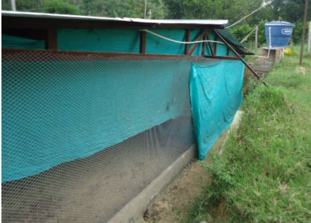 Malla Cerram Pollito versátil PEAD  21x21mm 1.83m  30m  Verde uv2