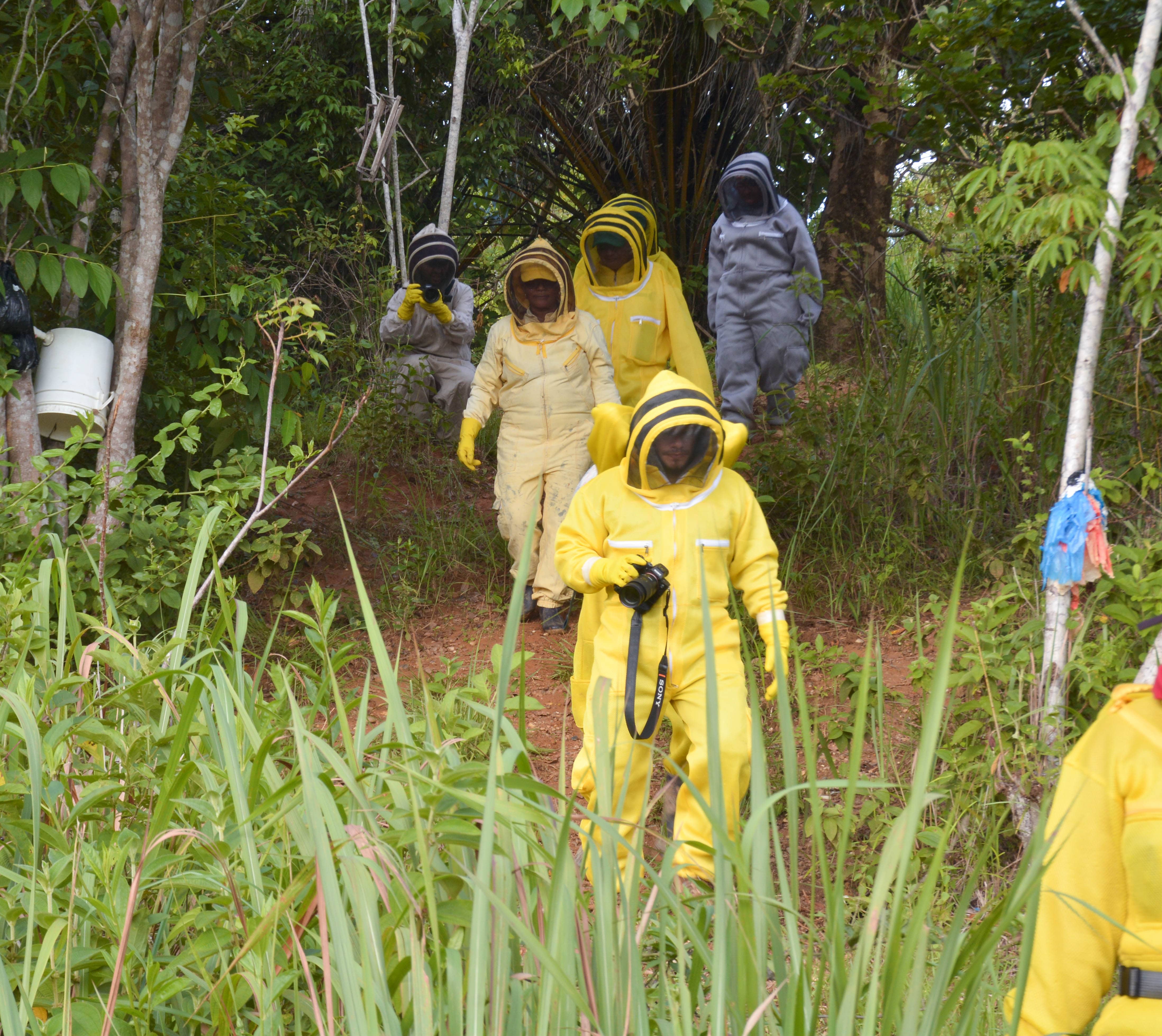 ASOMARAPI v. supervisión u. productiva apicola .jpg