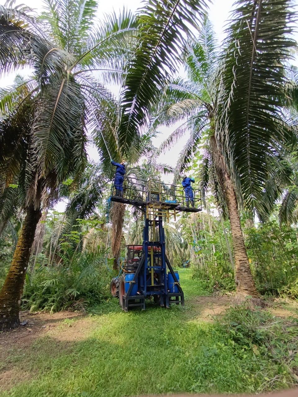 Elevador Tractorizado