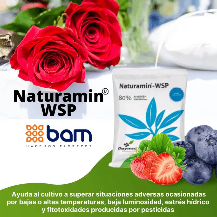 Bioestimulante aminoácidos Naturamin -Wsp X Kg