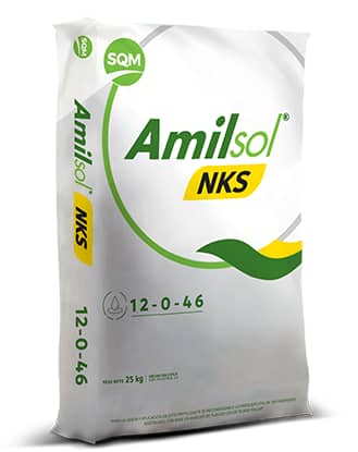 Fertilizante Amilsol NKS 12-06-46 25Kg | Potasio Nitrato