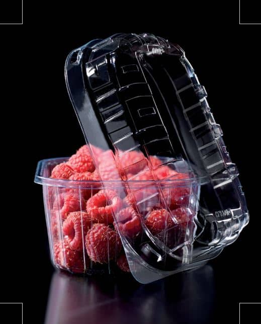 Bandejas y Clamshells en rPET para frutas frescas y alimentos