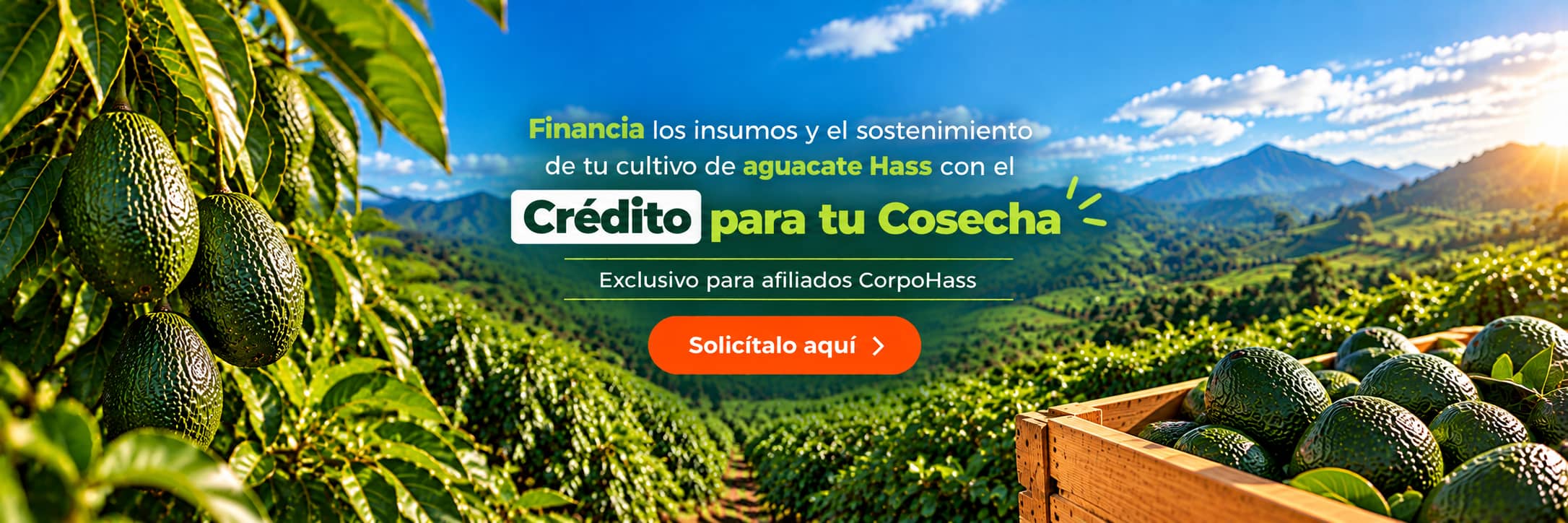 Credito cosecha