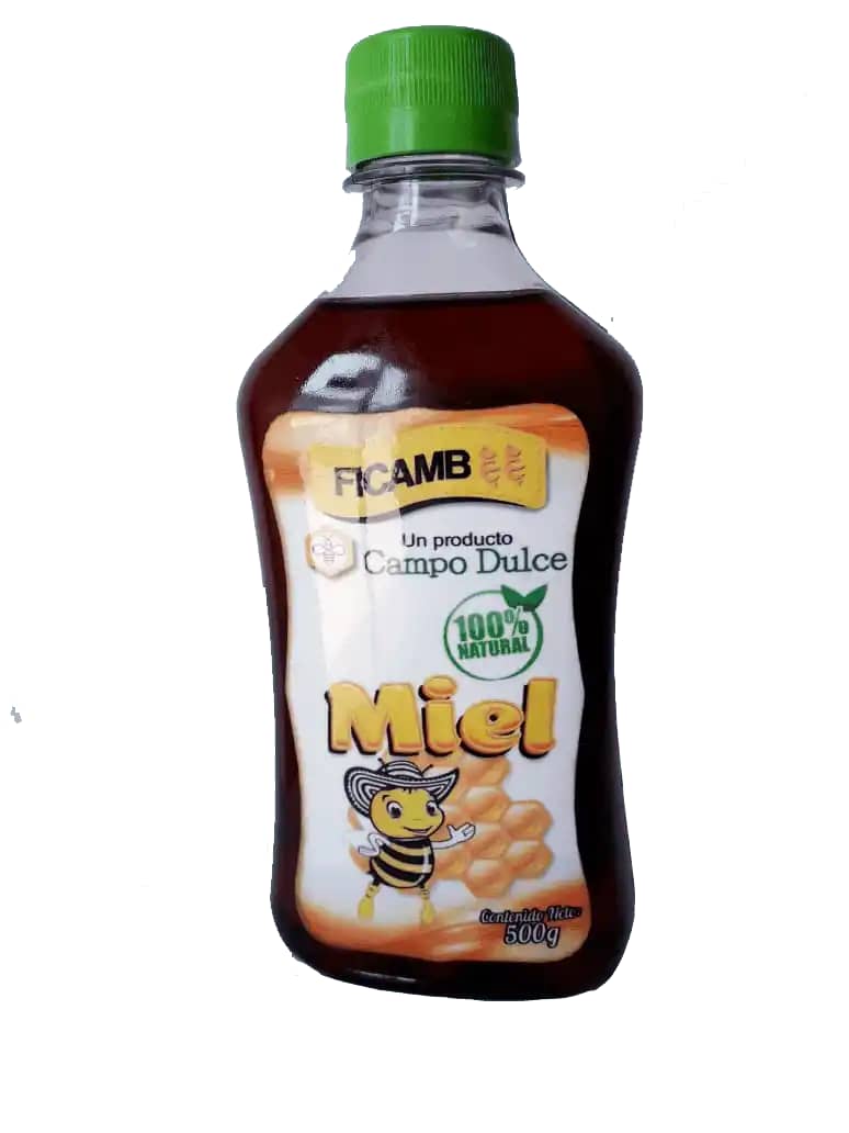 Miel de abeja 100% Natural X 500 Gr