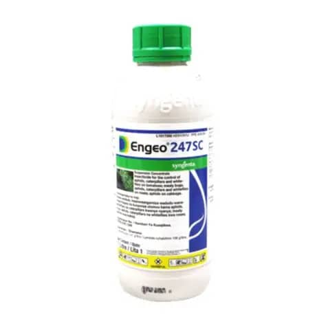 Engeo 247 SC Insecticida agrícola Syngenta | Control de plagas