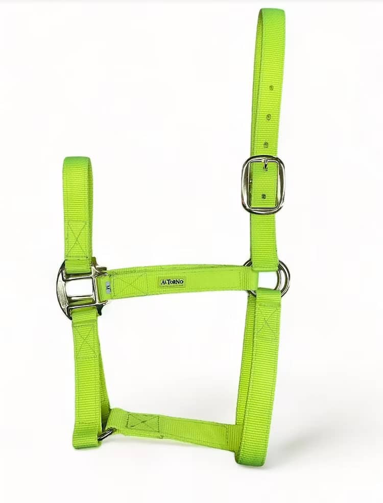 Jaquimón Reata para Potros de 6 a 15 Meses