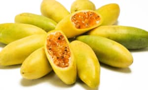 Curuba