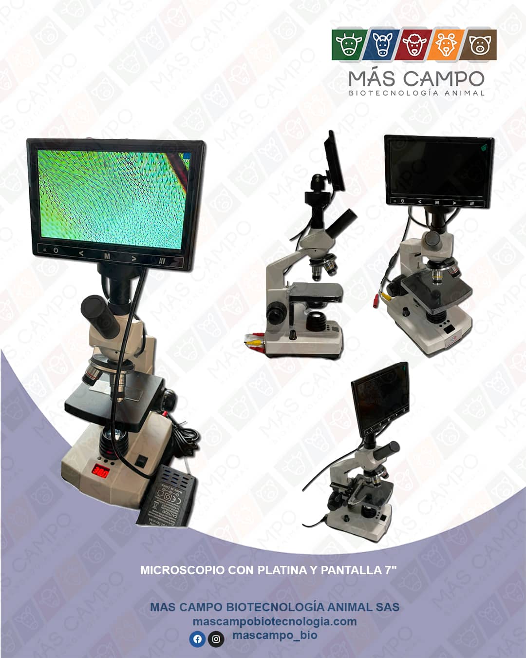 Microscopio con pantalla de 7 pulgadas - platina térmica