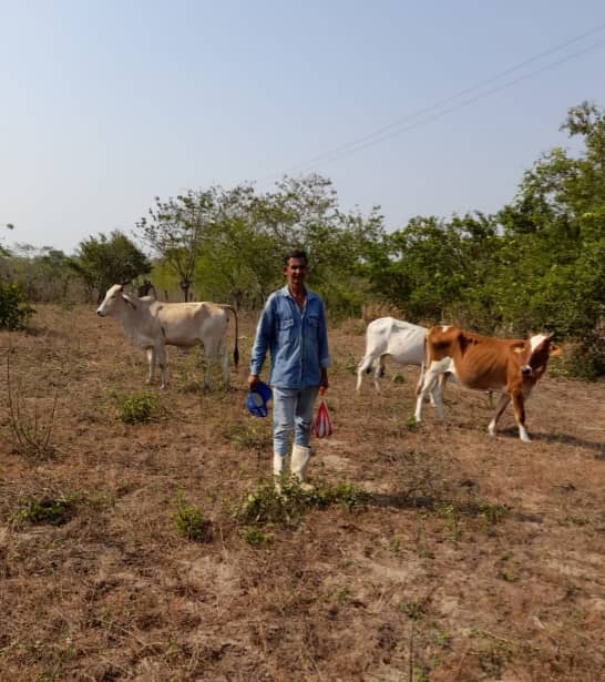 Miguel  Arcángel Silvera Escorcia