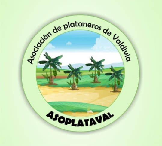 Asociación de Plataneros de Valdivia  ASOPLATAVAL