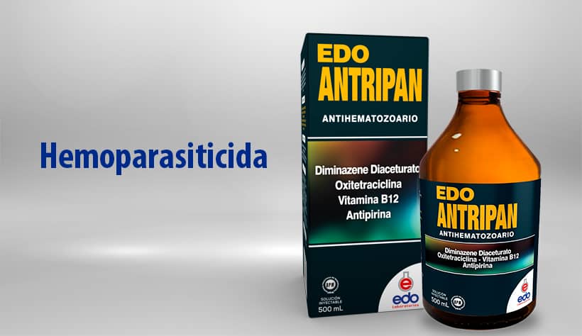 Hemoparasiticida Edo Antripan 100 ml
