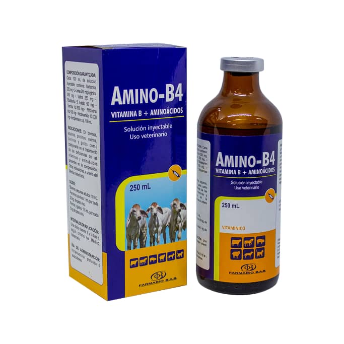 Vitamina Amino-B4 FCO X 250 ML