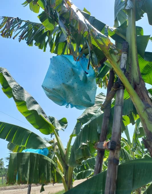 Captura de pantalla 2025-02-19 113858.png