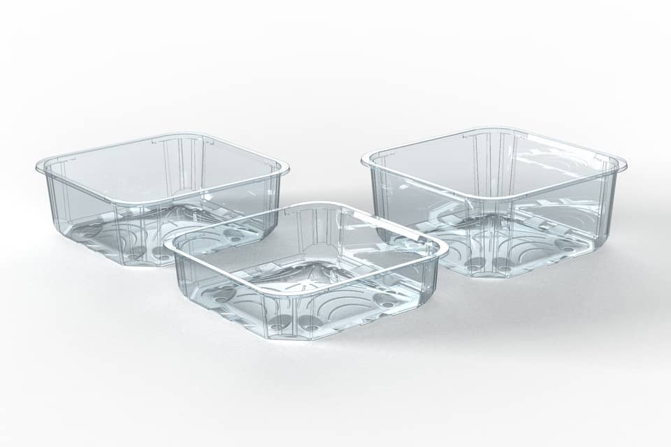 Bandejas y Clamshells en rPET para frutas frescas y alimentos