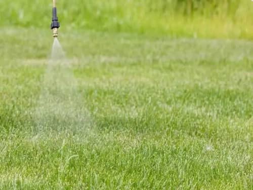 Roundup Activo Glifosato 1L Herbicida Total ICA