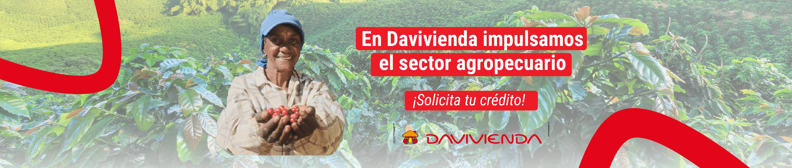 Banco Davivienda