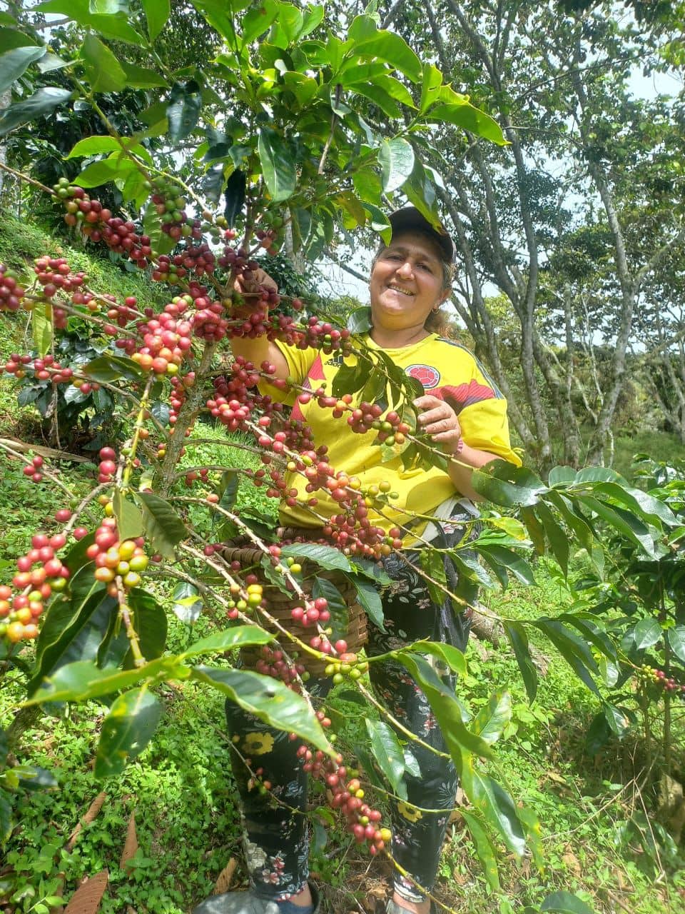 Flor Alba Tirado Amado
