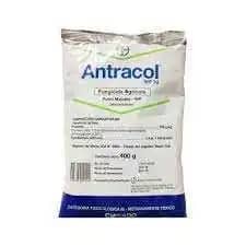 ANTRACOL.jpg