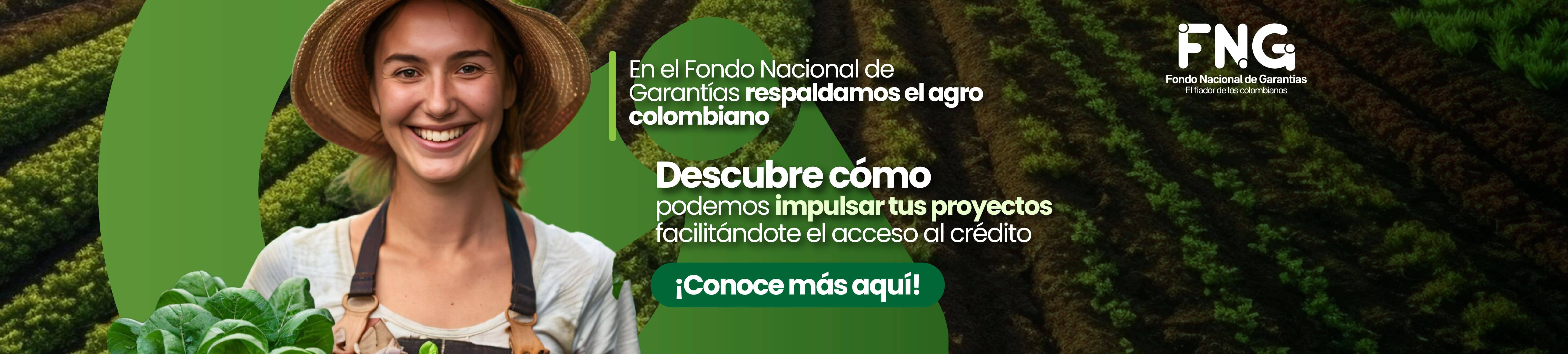 Fondo Nacional de Garantías