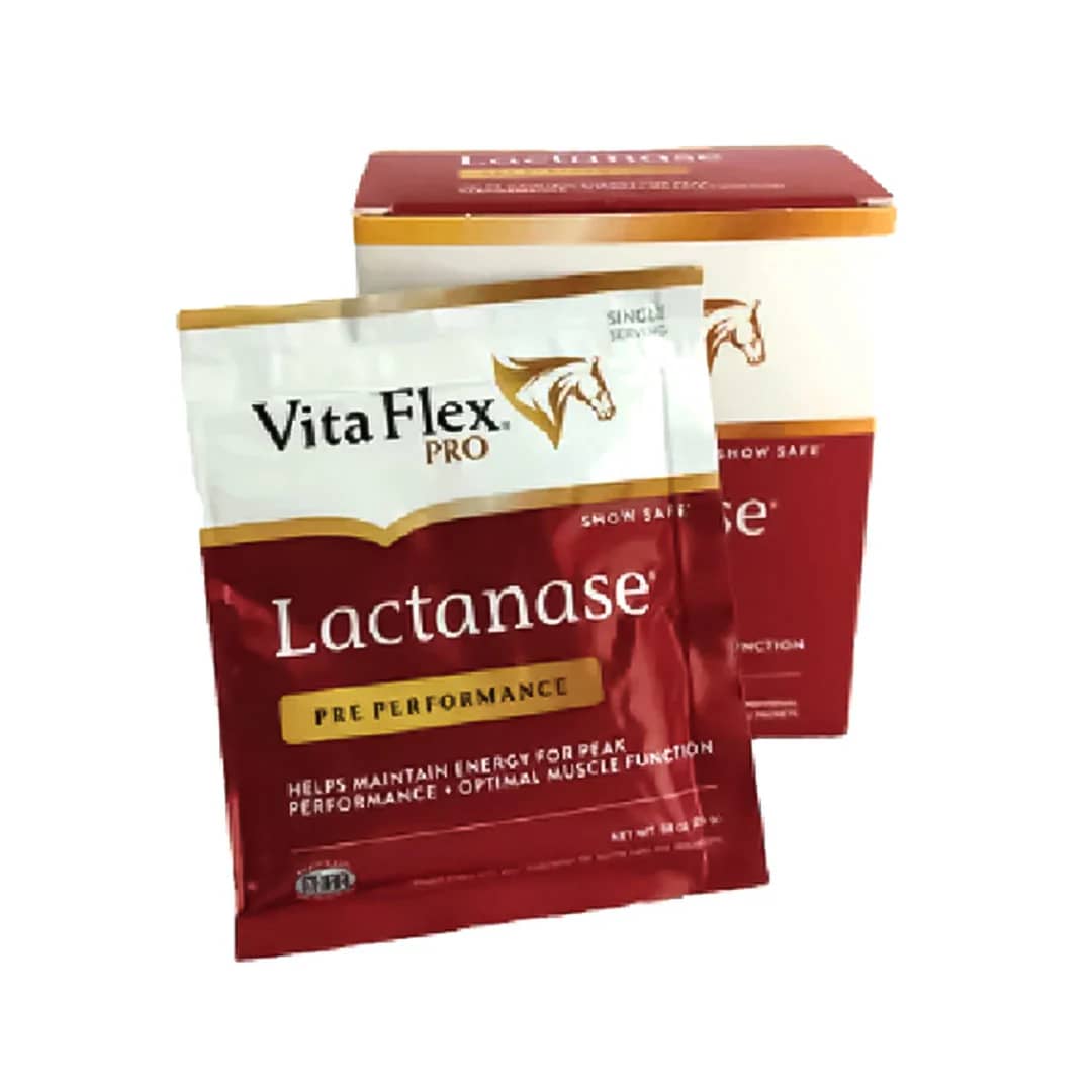 Lactanase suplemento equino contra fatiga y ácido láctico