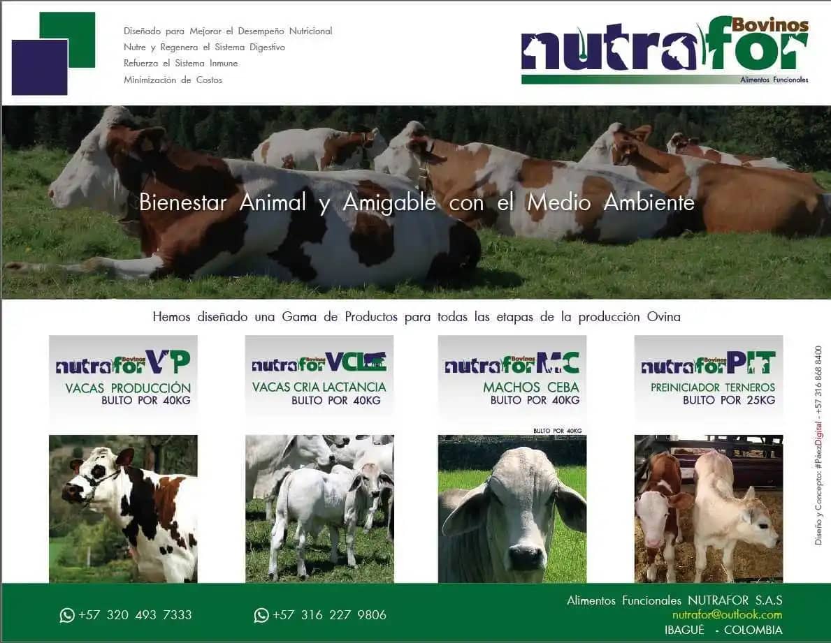 Suplemento Nutrafor Vacas Cria x 40kg